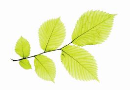 [Various] GS Special Love