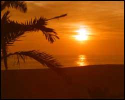 [The Family International] GS Sunbeams and Shadows